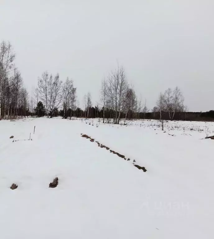 Участок в Ярославская область, Переславль-Залесский ул. Победы, 57 ... - Фото 0