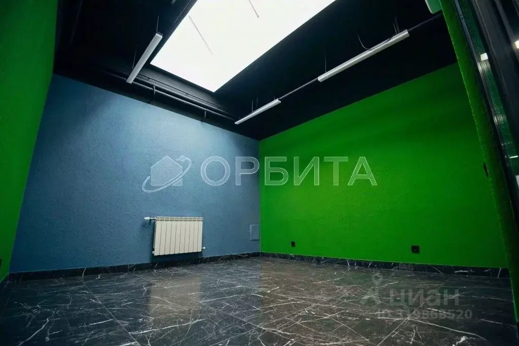 Помещение свободного назначения в Тюменская область, Тюмень ул. ... - Фото 0