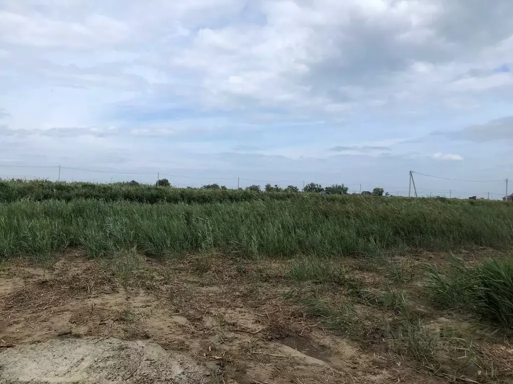 Участок в Краснодарский край, Темрюк Морская ул. (4.5 сот.) - Фото 0