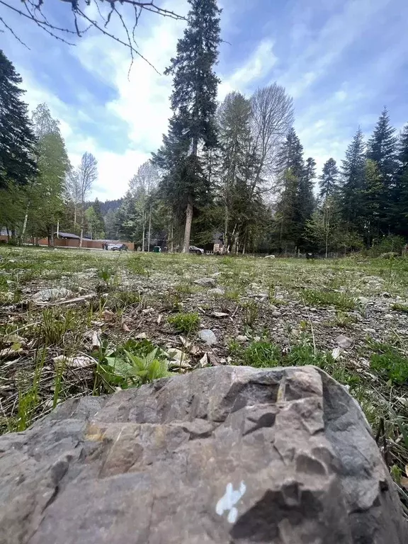 Участок 28 сот. (ИЖС) - Фото 1