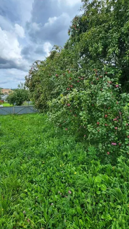 Участок в Нижегородская область, Нижний Новгород городской округ, д. ... - Фото 2
