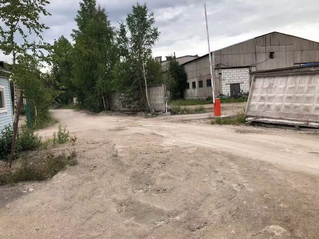 Производственное помещение в Ленинградская область, Приозерск ул. ... - Фото 1