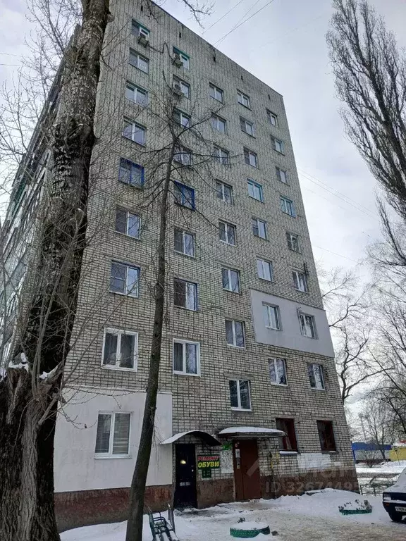 1-к кв. Курская область, Курск ул. Серегина, 11 (29.9 м) - Фото 1