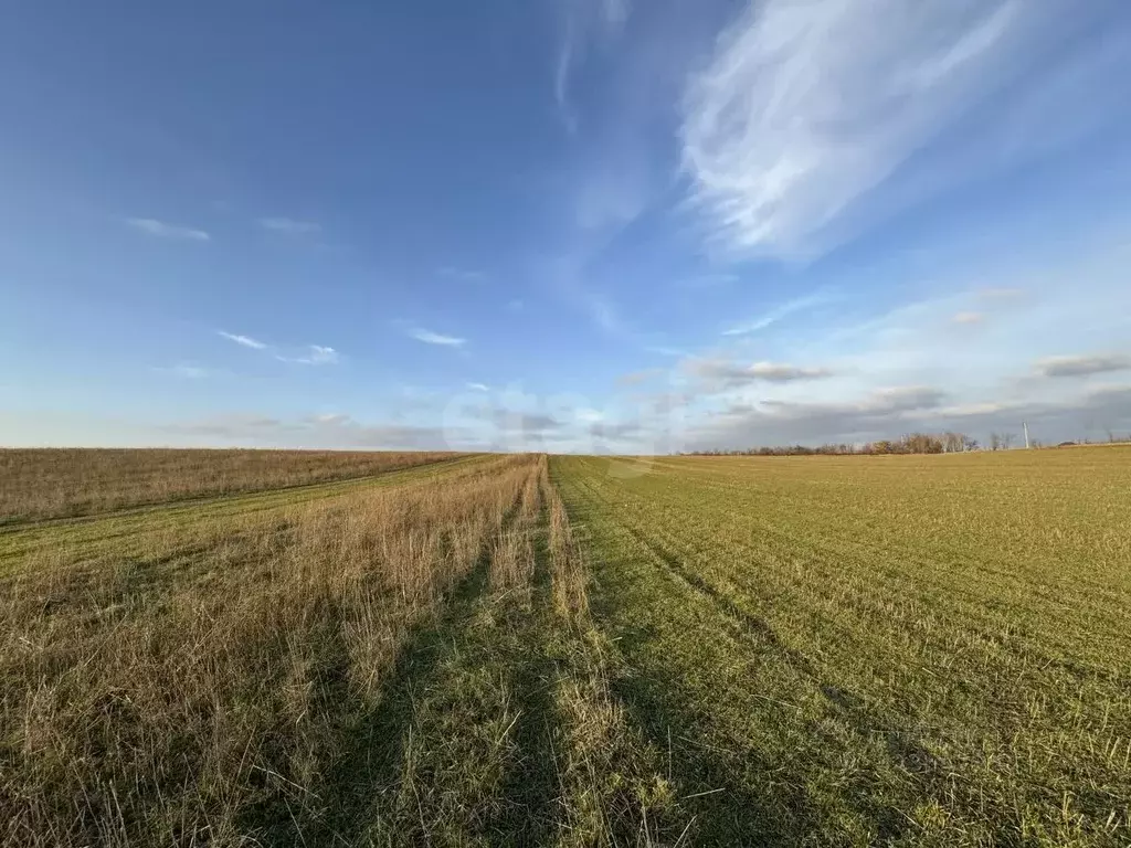 Участок в Крым, Симферопольский район, с. Трудовое  (128.0 сот.) - Фото 0