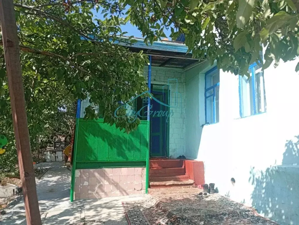 Дом в Оренбургская область, Медногорск ул. Павлика Морозова, 18 (75 м) - Фото 1