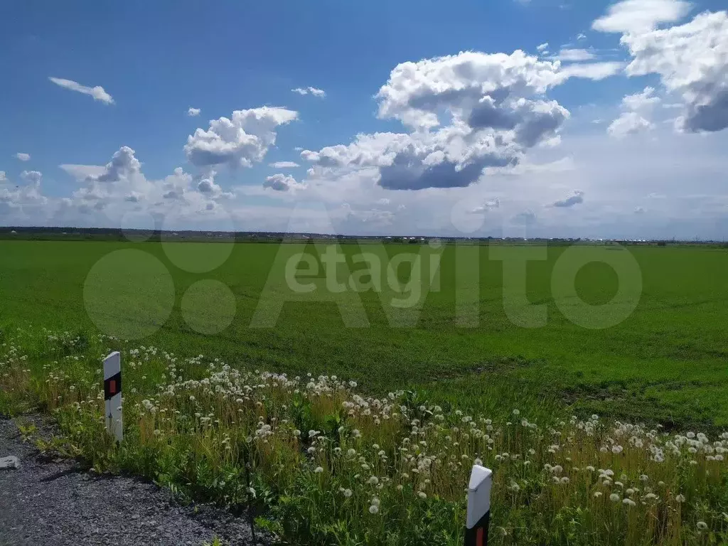 Участок 7 сот. (СНТ, ДНП) - Фото 0