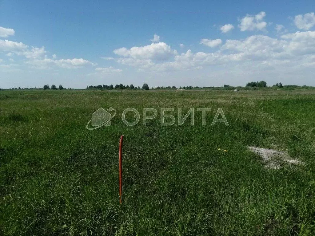 Участок в Тюменская область, Тюменский район, с. Борки  (10.0 сот.) - Фото 1