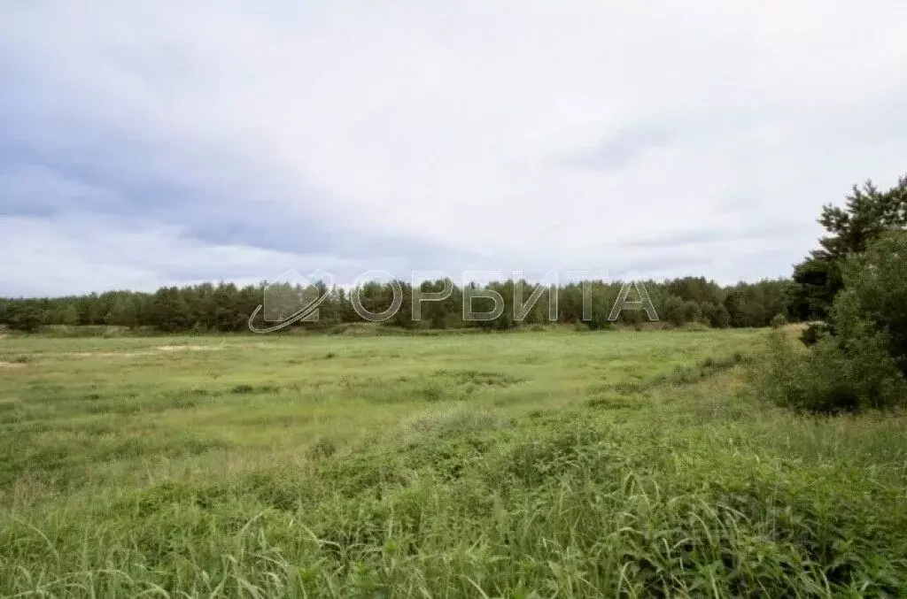 Участок в Тюменская область, Тюменский район, д. Криводанова  (51.2 ... - Фото 2