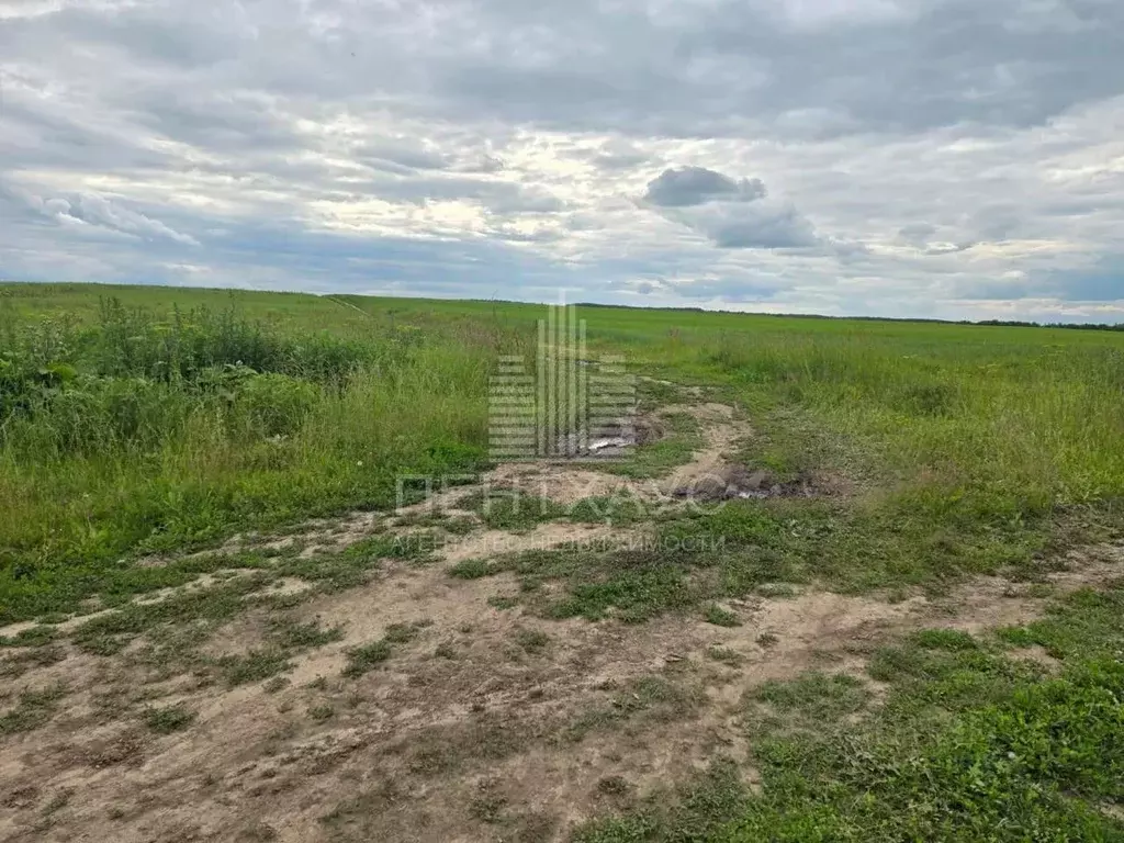 Участок в Владимирская область, Суздальский район, Павловское ... - Фото 2