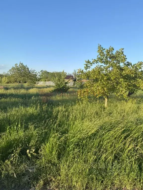 Участок в Ростовская область, Аксайский район, Большелогское с/пос, ... - Фото 2