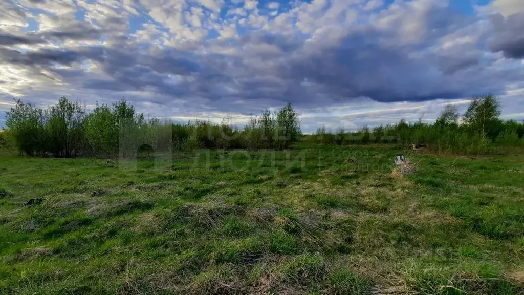 Участок в Новгородская область, Старорусский район, Великосельское ... - Фото 2