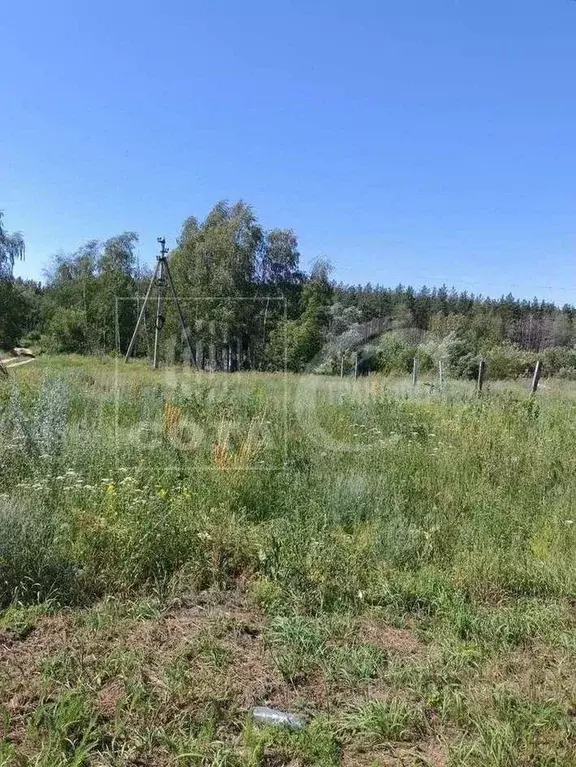 Участок в Воронежская область, Новоусманский район, с. Орлово ул. ... - Фото 1