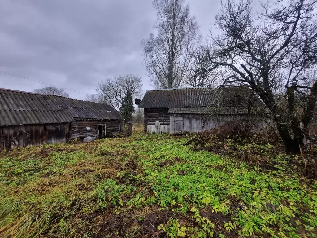 Дом в Псковская область, Палкинская волость, д. Самулино  (59 м) - Фото 2