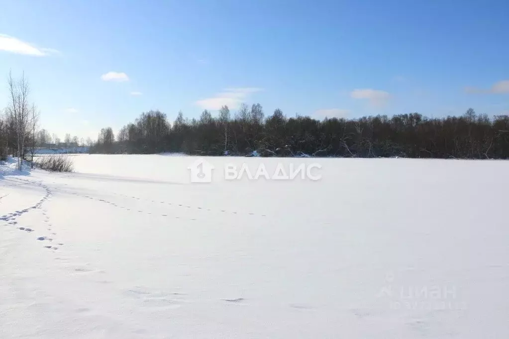 Участок в Карелия, Прионежский район, Шуйское с/пос, д. Бесовец, д. ... - Фото 2