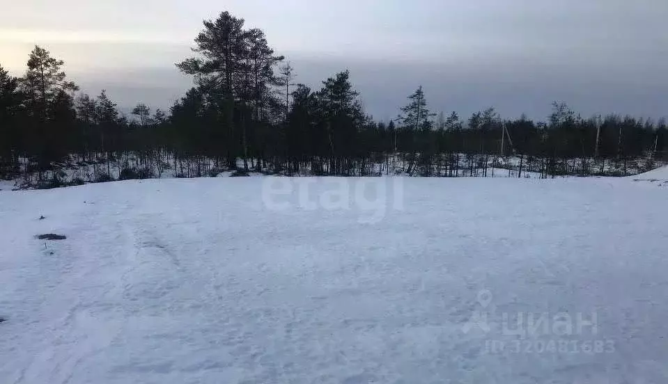Участок в Ленинградская область, Всеволожское городское поселение, ... - Фото 1