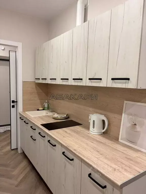 Студия Красноярский край, Красноярск Свободный просп., 66Рк4 (30.0 м) - Фото 2