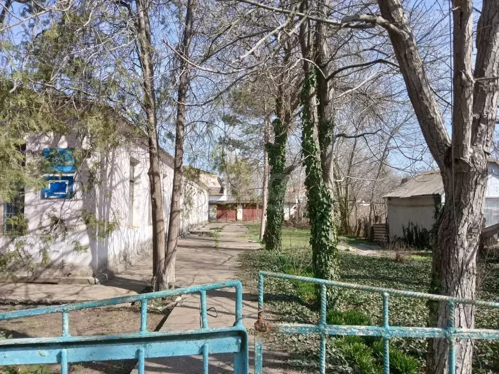 Помещение свободного назначения в Крым, Раздольное пгт ул. Ленина, 55 ... - Фото 1