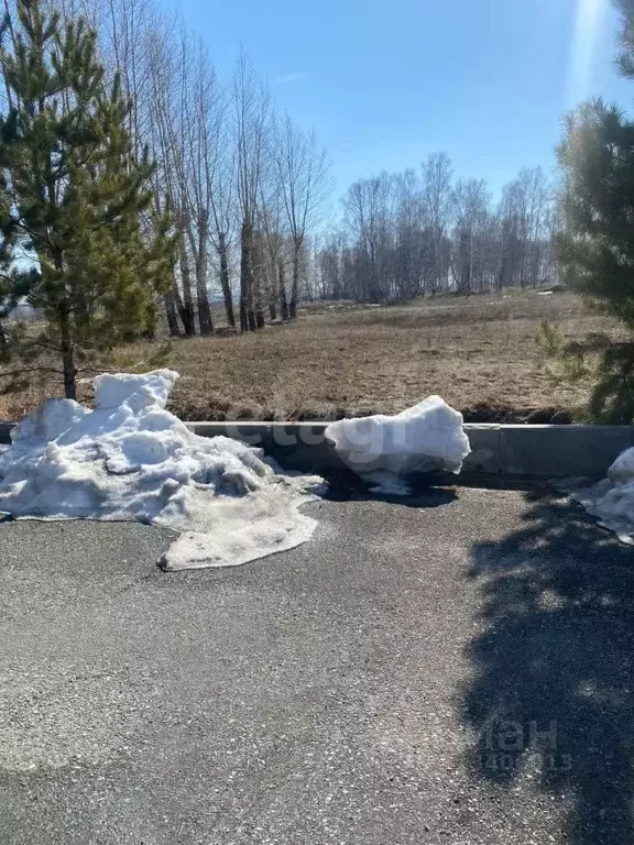 Участок в Кемеровская область, Кемеровский муниципальный округ, с. ... - Фото 0