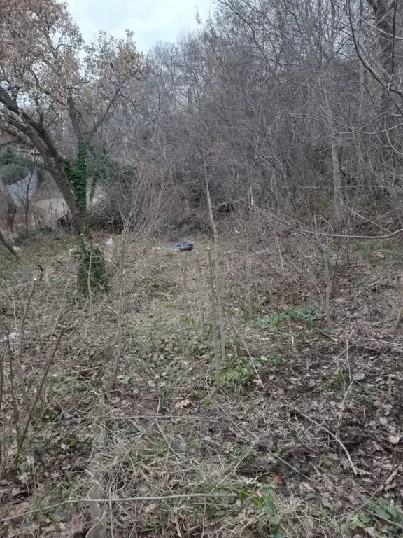 Участок в Крым, Ялта муниципальный округ, Гурзуф пгт ул. Приветная, 1 ... - Фото 1