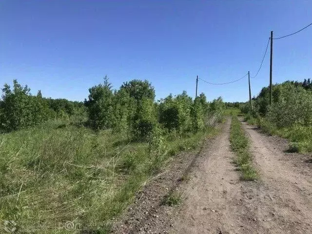 Участок в Пермский край, Добрянский муниципальный округ, д. Городище  ... - Фото 1