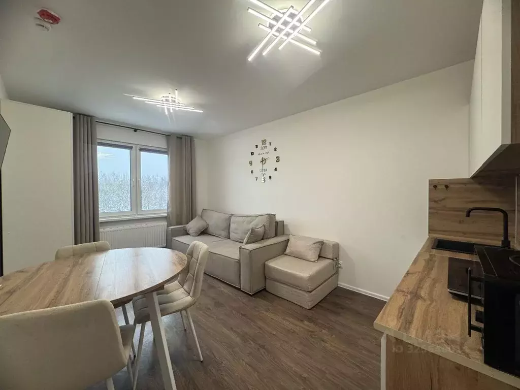 Студия Санкт-Петербург ул. Пейзажная, 24к1 (20.7 м) - Фото 1