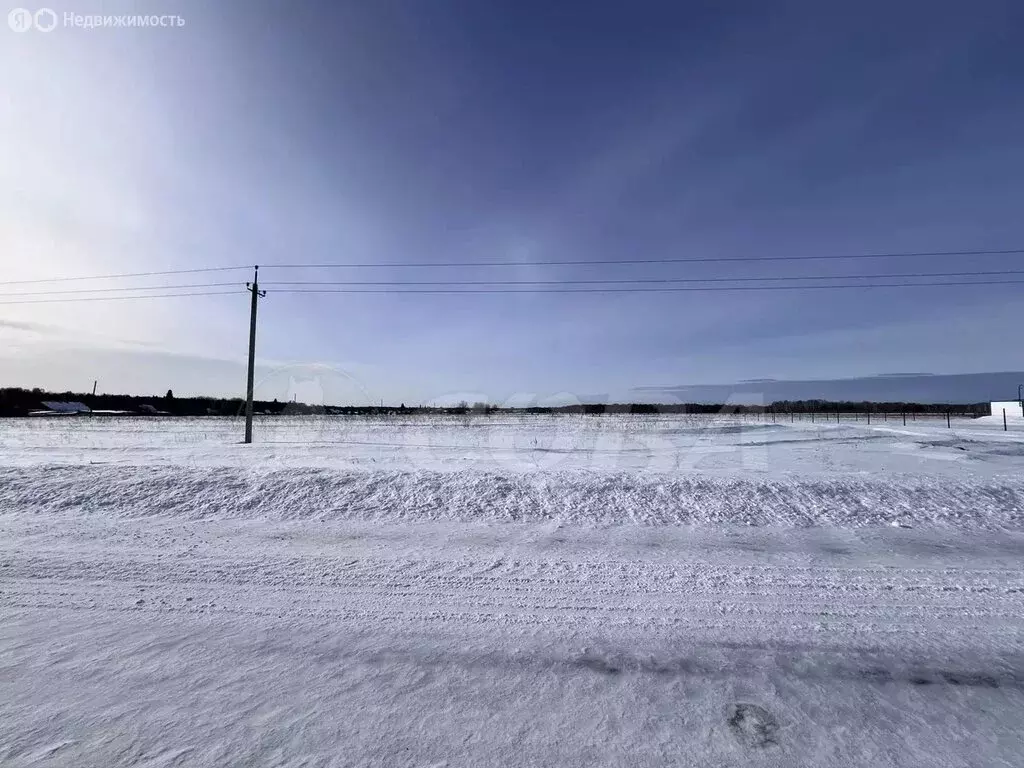 Участок в Тюменский муниципальный округ, село Каменка (10 м) - Фото 1