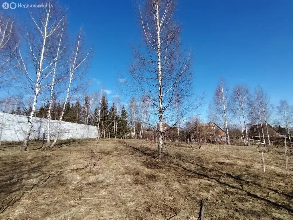 Участок в Сергиево-Посадский городской округ, село Хомяково (20 м) - Фото 1