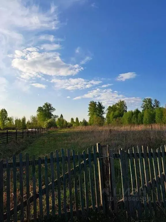 Участок в Новосибирская область, Новосибирский район, Кубовинский ... - Фото 0