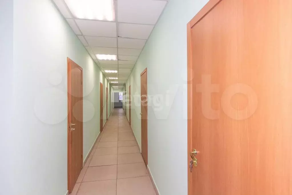 Сдам помещение свободного назначения, 48 м - Фото 1