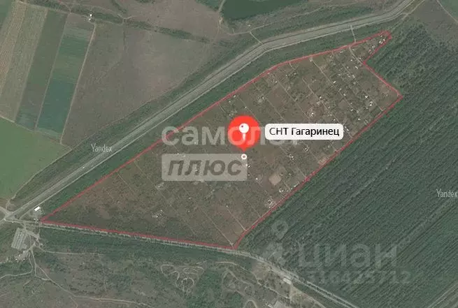 Участок в Саратовская область, Энгельсский район, Терновское ... - Фото 0