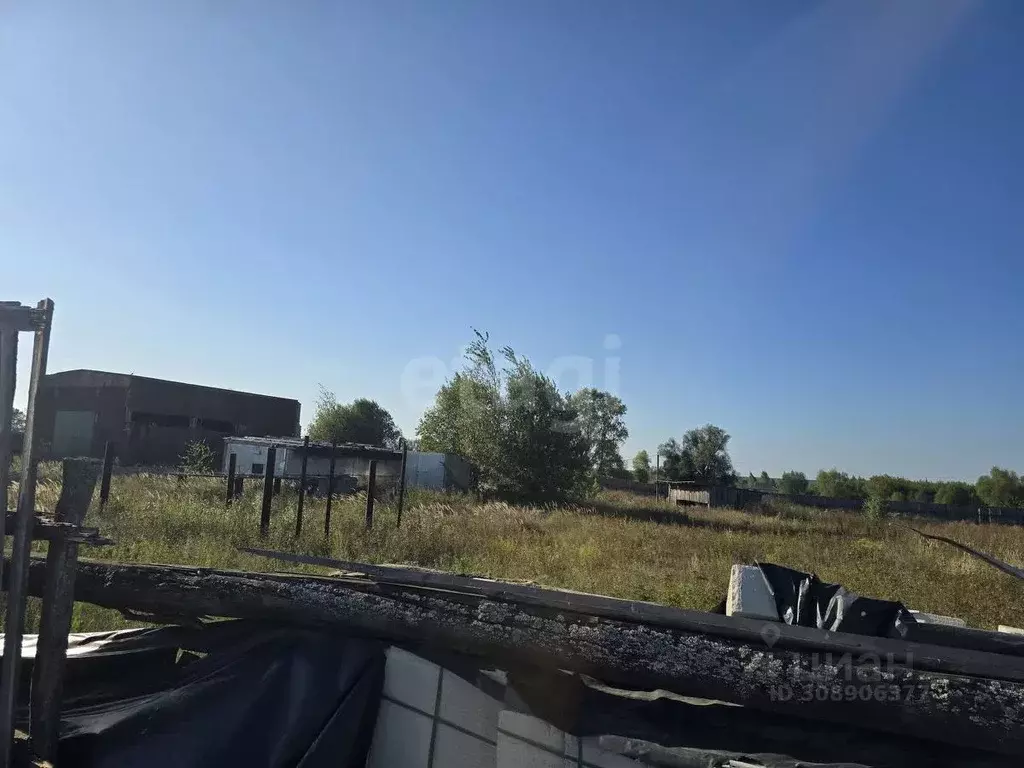 Участок в Брянская область, Карачевское городское поселение, д. Мокрое ... - Фото 1