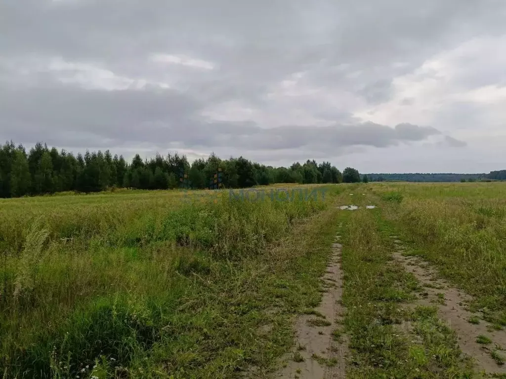 Участок в Нижегородская область, Богородский муниципальный округ, д. ... - Фото 2