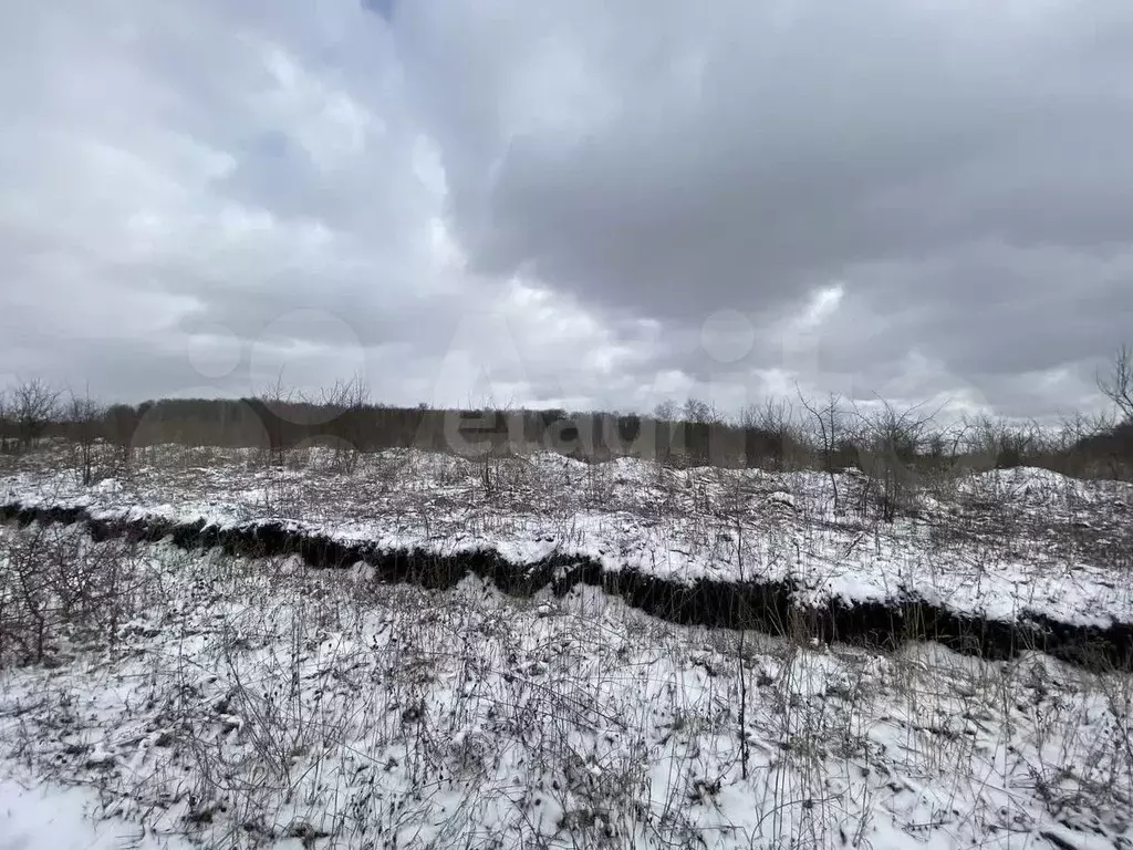 Участок 69,06 га (ИЖС) - Фото 1