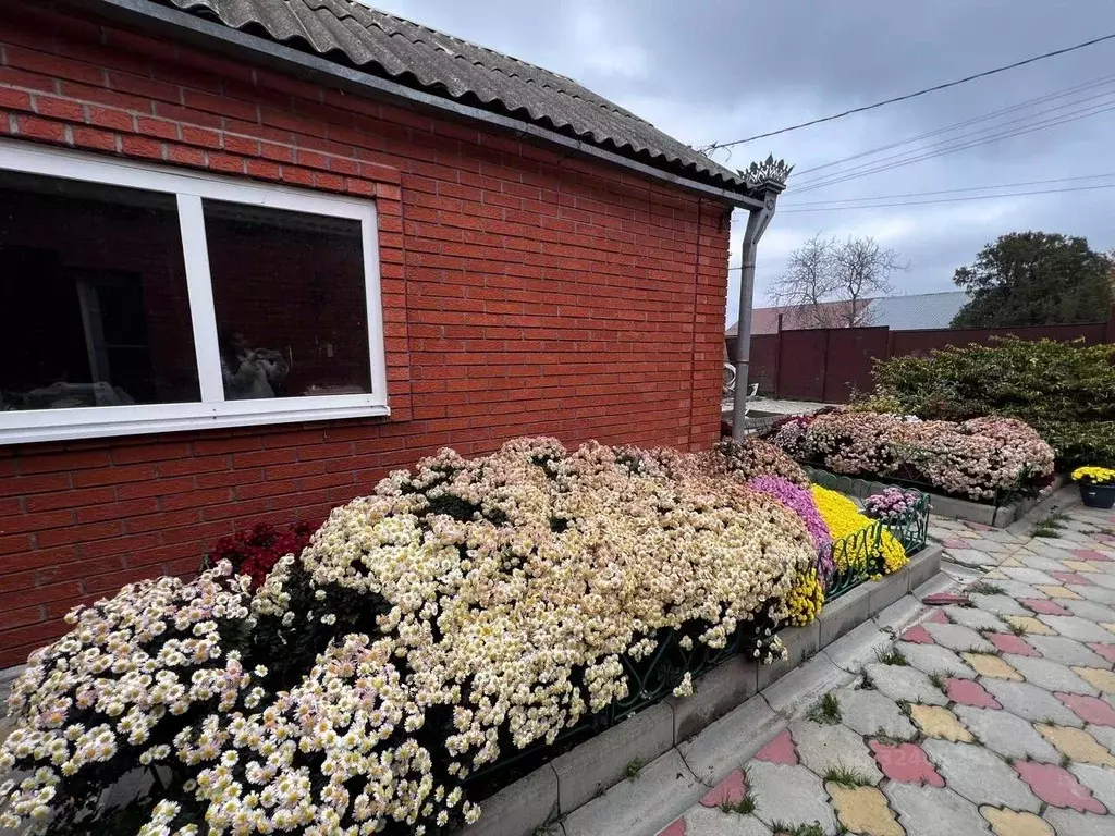 Дом в Краснодарский край, Темрюк ул. Гагарина (129 м) - Фото 1