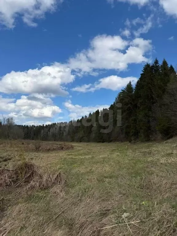 Участок в Ярославская область, Любимский муниципальный округ, д. ... - Фото 1