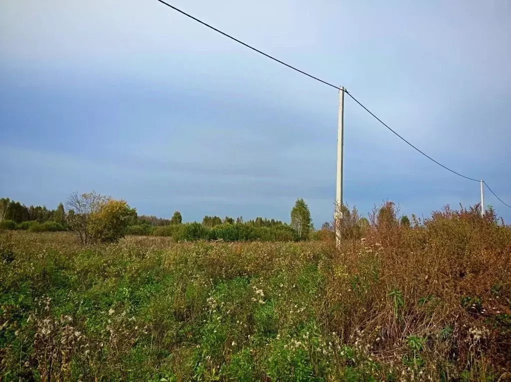 Участок в Свердловская область, Белоярский пгт  (620.0 сот.) - Фото 2