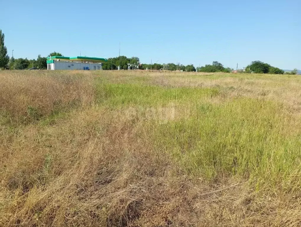 Участок в Крым, Феодосия городской округ, с. Насыпное пер. Виноградный ... - Фото 0