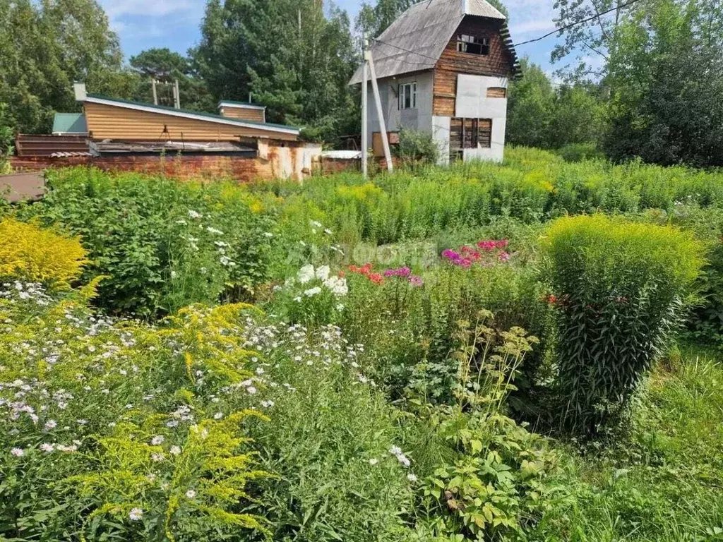 Участок в Кемеровская область, Новокузнецкий муниципальный округ, пос. ... - Фото 0