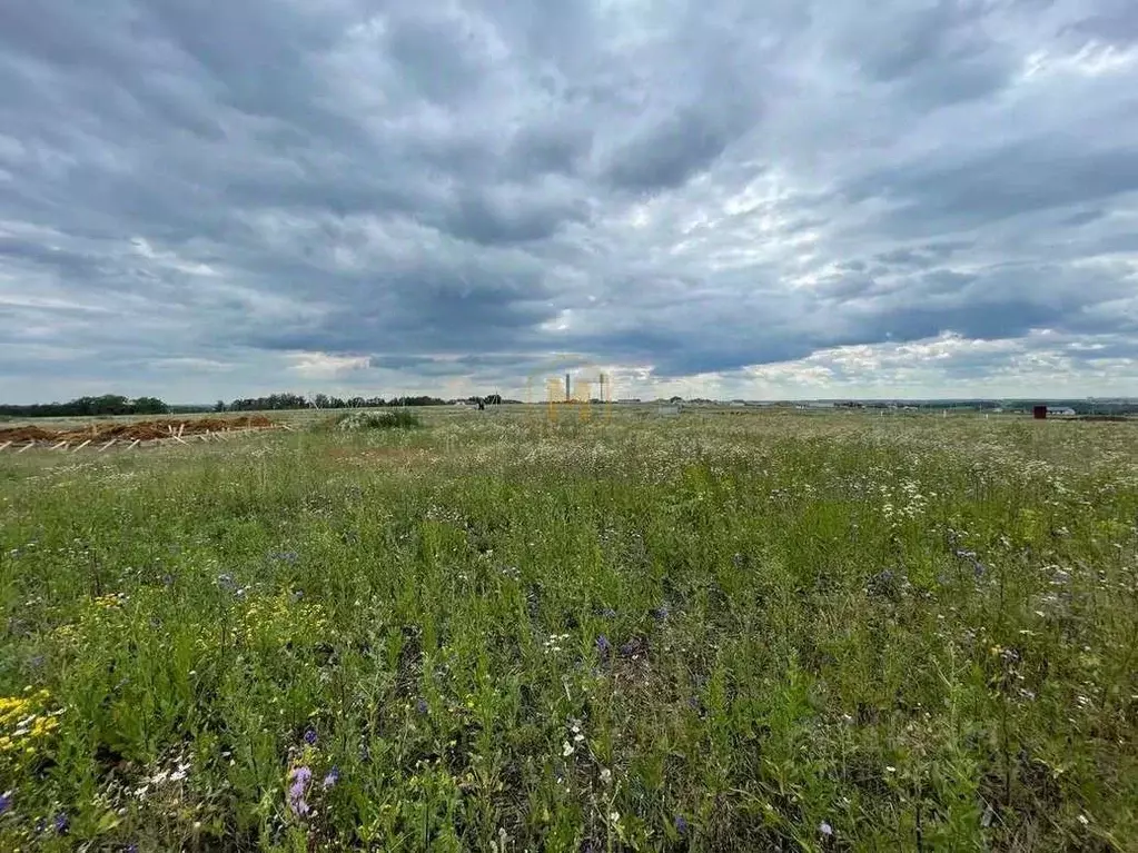 Участок в Белгородская область, Белгородский район, Крутологское ... - Фото 1
