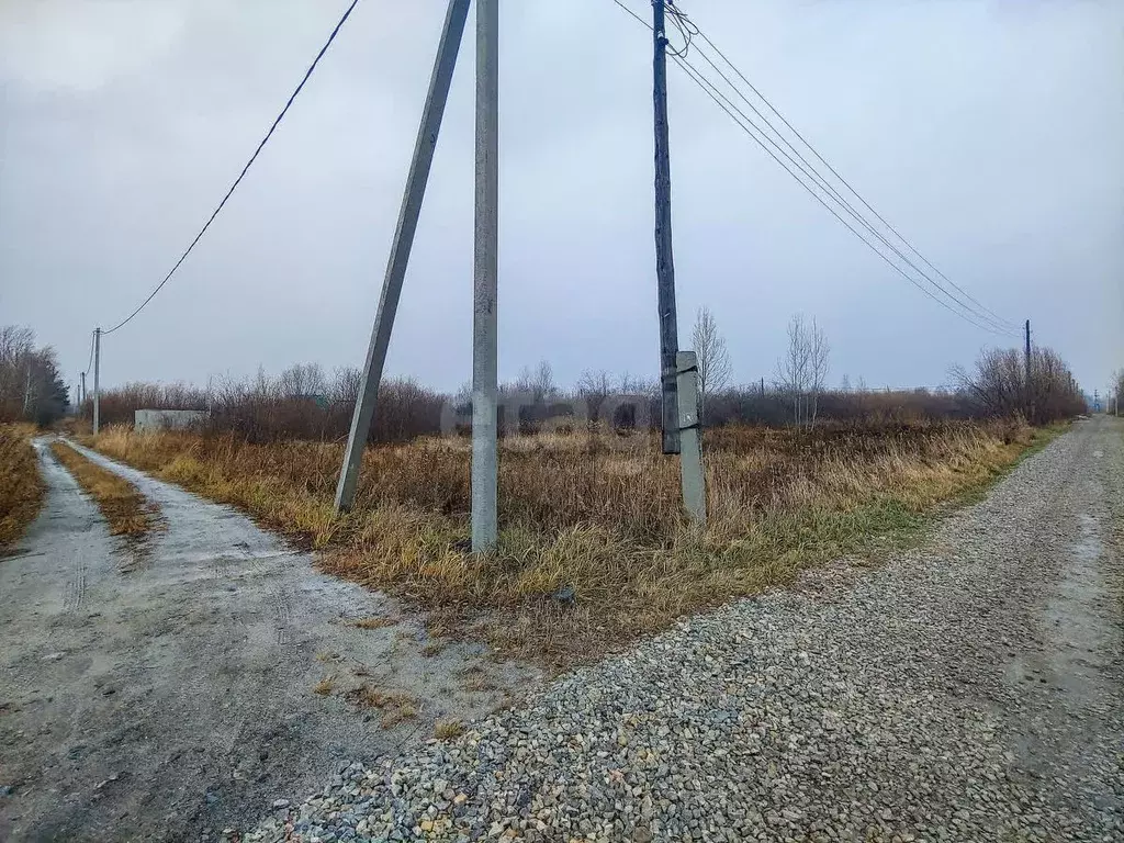 Участок в Тюменская область, Тюмень Садовое товарищество Липовый ... - Фото 2