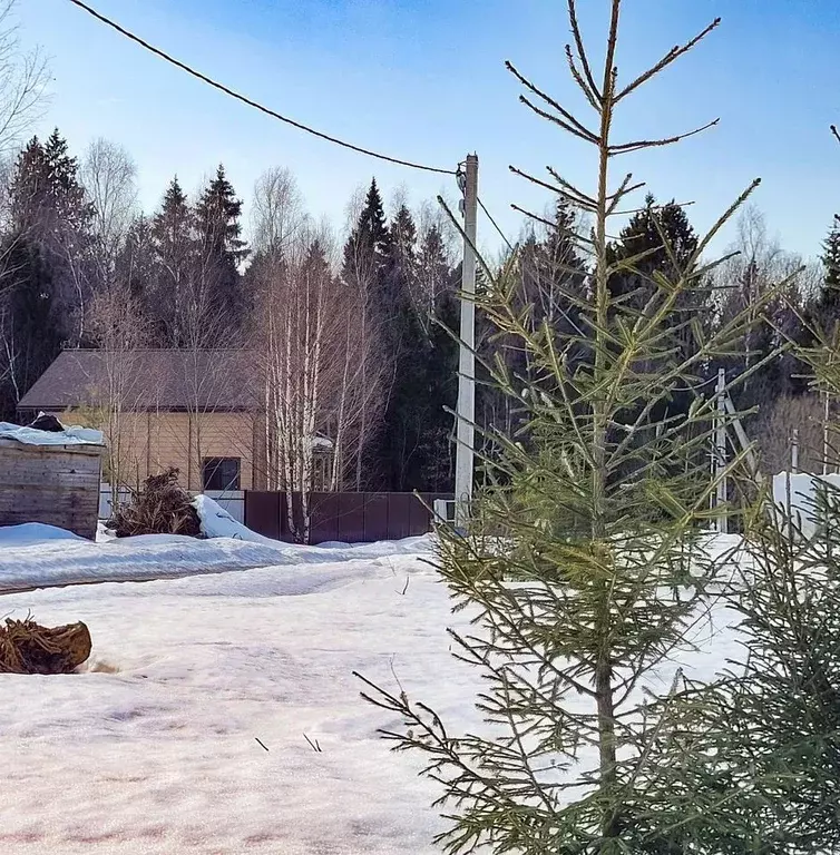 Участок в Московская область, Дмитровский муниципальный округ, Икша ... - Фото 1