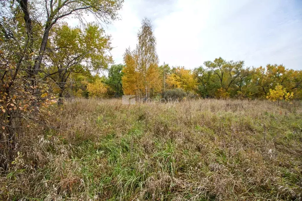 Участок в Кемеровская область, Новокузнецкий муниципальный округ, с. ... - Фото 1