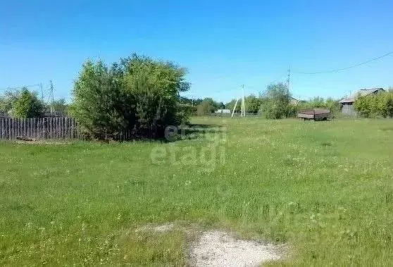 участок в амурская область, благовещенский район, с. новопетровка . - Фото 0