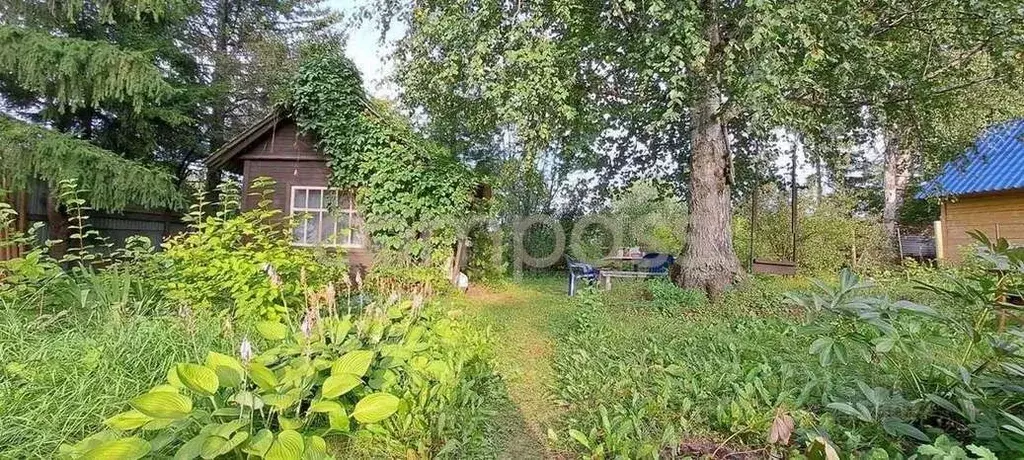 Дом в Тюменская область, Нижнетавдинский район, Мечта ДНТ ул. 6-я (15 ... - Фото 1