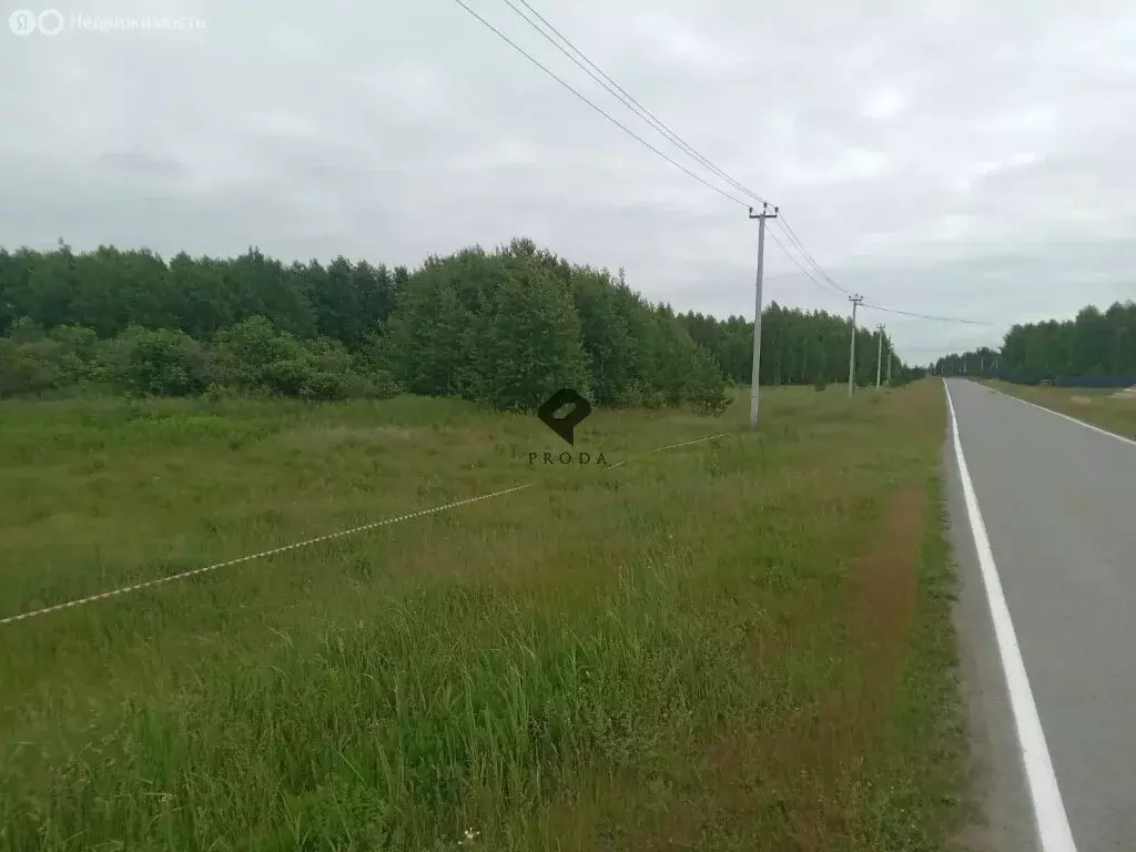 Участок в Нижнетавдинский район, садоводческое некоммерческое ... - Фото 1