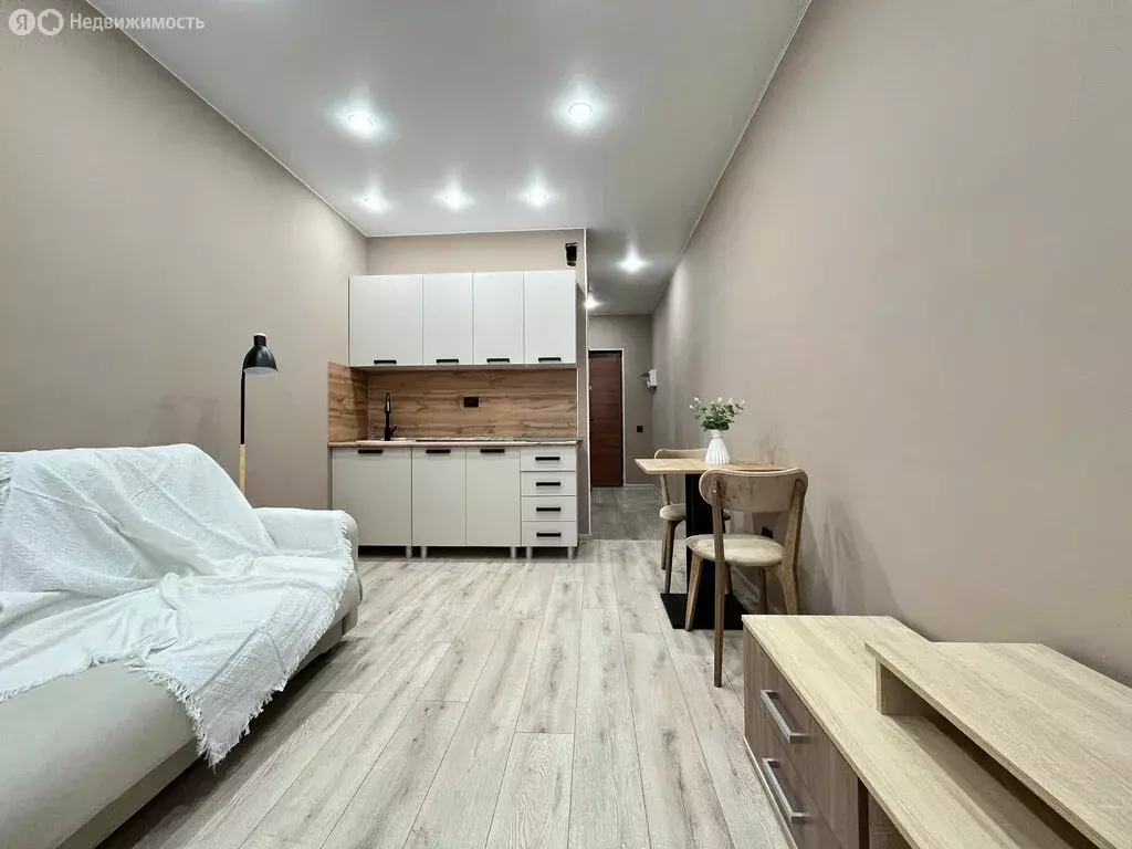 Квартира-студия: Засечное, Фонтанная улица, 10 (22 м) - Фото 2