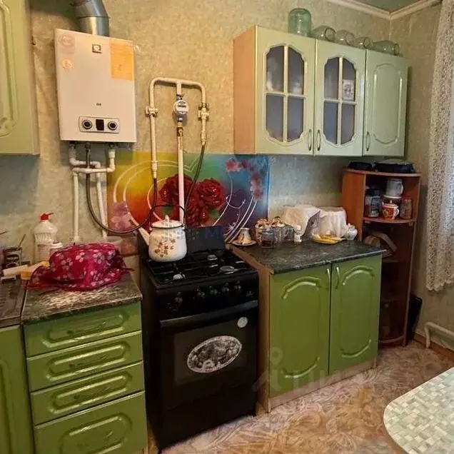 1-к кв. Нижегородская область, Богородский муниципальный округ, д. ... - Фото 2