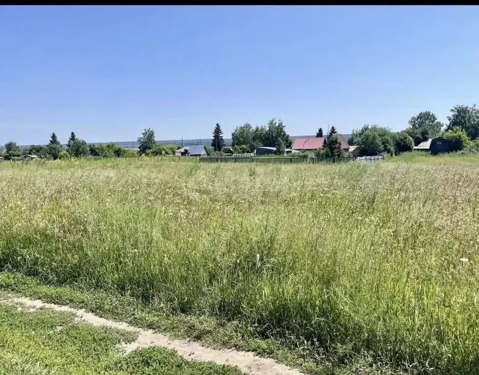 Участок в Новосибирская область, Ордынский район, с. Кирза Школьная ... - Фото 2