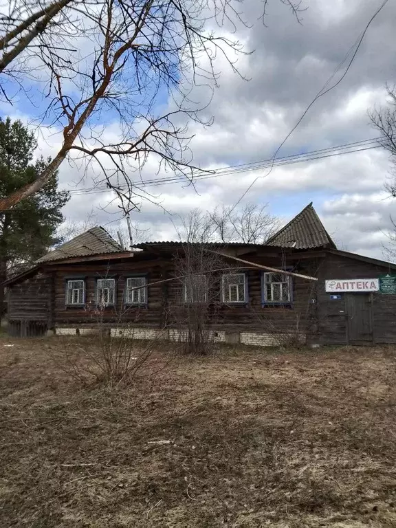 Помещение свободного назначения в Мордовия, Теньгушевский район, с. ... - Фото 1