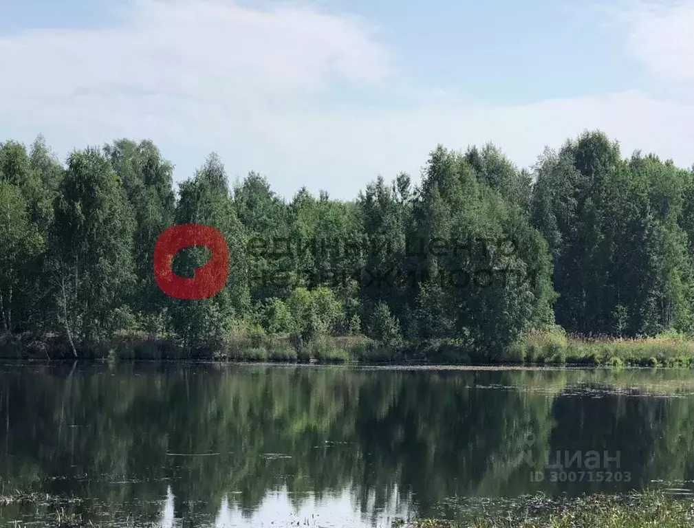 Участок в Тюменская область, Тюменский район, с. Кулига Транспортная ... - Фото 1